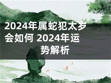 2024年属蛇犯太岁会如何 2024年运势解析