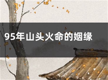95年山头火命的姻缘