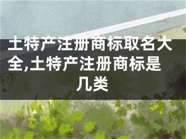 土特产注册商标取名大全,土特产注册商标是几类