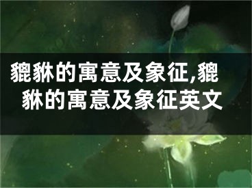 貔貅的寓意及象征,貔貅的寓意及象征英文