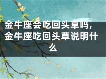 金牛座会吃回头草吗,金牛座吃回头草说明什么