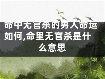 命中无官杀的男人命运如何,命里无官杀是什么意思