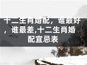 十二生肖婚配，谁最好，谁最差,十二生肖婚配宜忌表