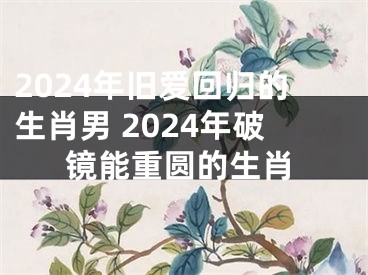 2024年旧爱回归的生肖男 2024年破镜能重圆的生肖