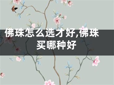 佛珠怎么选才好,佛珠买哪种好