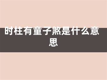 时柱有童子煞是什么意思
