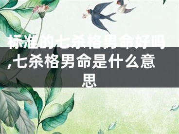 标准的七杀格男命好吗,七杀格男命是什么意思