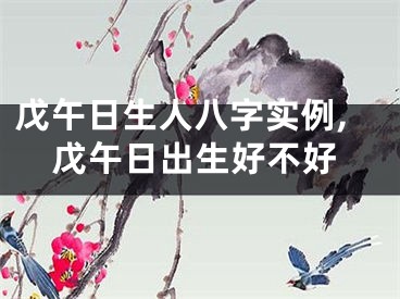 戊午日生人八字实例,戊午日出生好不好