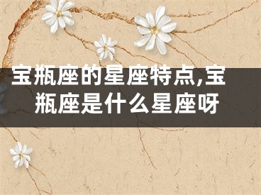 宝瓶座的星座特点,宝瓶座是什么星座呀