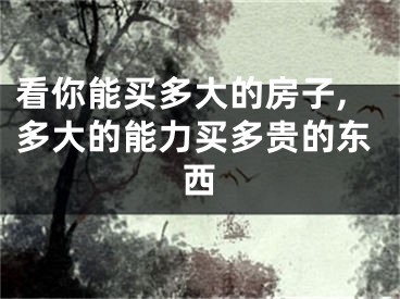看你能买多大的房子,多大的能力买多贵的东西