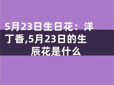 5月23日生日花：洋丁香,5月23日的生辰花是什么