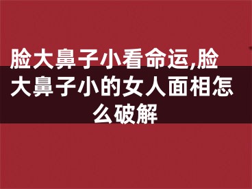脸大鼻子小看命运,脸大鼻子小的女人面相怎么破解