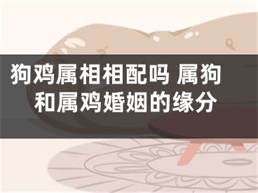 狗鸡属相相配吗 属狗和属鸡婚姻的缘分