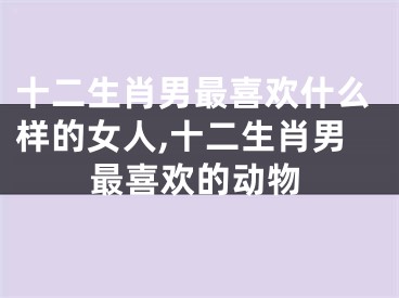 十二生肖男最喜欢什么样的女人,十二生肖男最喜欢的动物