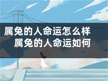 属兔的人命运怎么样 属兔的人命运如何