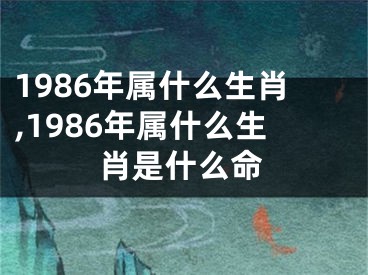 1986年属什么生肖,1986年属什么生肖是什么命