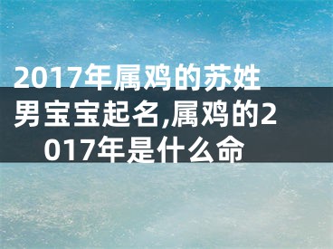 2017年属鸡的苏姓男宝宝起名,属鸡的2017年是什么命