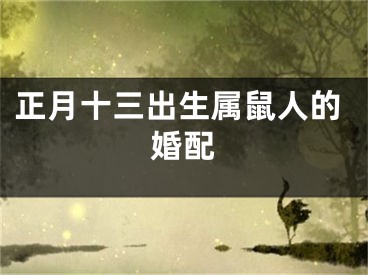 正月十三出生属鼠人的婚配