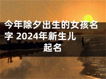今年除夕出生的女孩名字 2024年新生儿起名