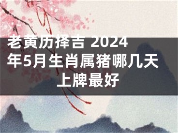 老黄历择吉 2024年5月生肖属猪哪几天上牌最好