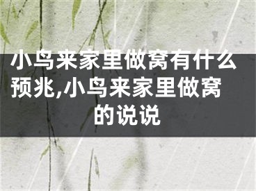小鸟来家里做窝有什么预兆,小鸟来家里做窝的说说