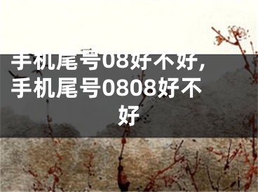 手机尾号08好不好,手机尾号0808好不好