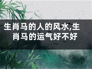 生肖马的人的风水,生肖马的运气好不好