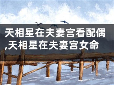 天相星在夫妻宫看配偶,天相星在夫妻宫女命