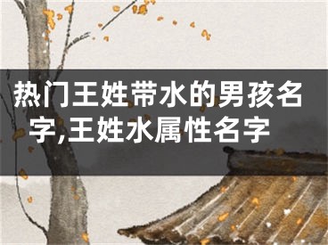 热门王姓带水的男孩名字,王姓水属性名字