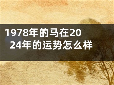 1978年的马在2024年的运势怎么样