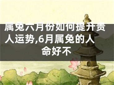 属兔六月份如何提升贵人运势,6月属兔的人命好不