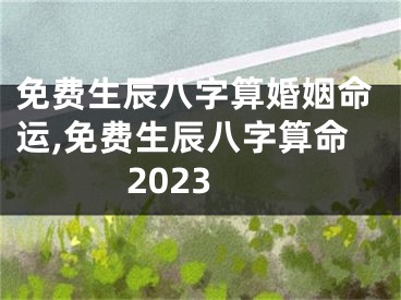 免费生辰八字算婚姻命运,免费生辰八字算命2023