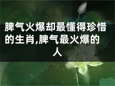 脾气火爆却最懂得珍惜的生肖,脾气最火爆的人