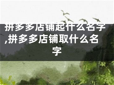 拼多多店铺起什么名字,拼多多店铺取什么名字