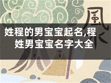 姓程的男宝宝起名,程姓男宝宝名字大全