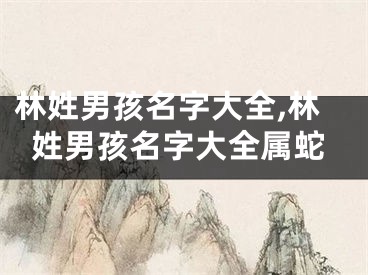 林姓男孩名字大全,林姓男孩名字大全属蛇