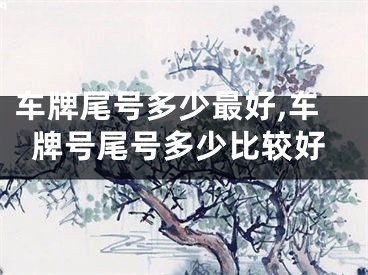 车牌尾号多少最好,车牌号尾号多少比较好