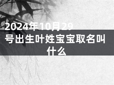 2024年10月29号出生叶姓宝宝取名叫什么