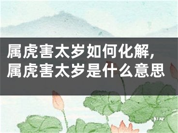 属虎害太岁如何化解,属虎害太岁是什么意思