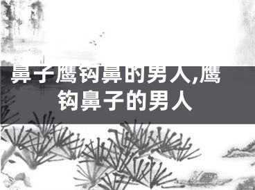 鼻子鹰钩鼻的男人,鹰钩鼻子的男人
