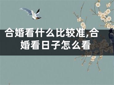 合婚看什么比较准,合婚看日子怎么看