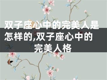 双子座心中的完美人是怎样的,双子座心中的完美人格
