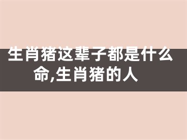 生肖猪这辈子都是什么命,生肖猪的人