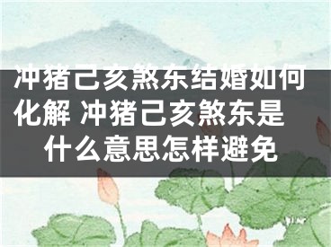 冲猪己亥煞东结婚如何化解 冲猪己亥煞东是什么意思怎样避免
