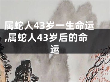 属蛇人43岁一生命运,属蛇人43岁后的命运