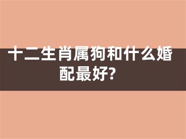 十二生肖属狗和什么婚配最好?