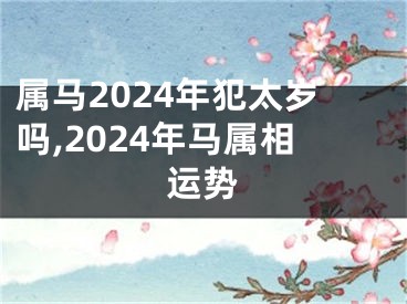 属马2024年犯太岁吗,2024年马属相运势