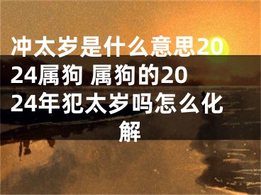 冲太岁是什么意思2024属狗 属狗的2024年犯太岁吗怎么化解