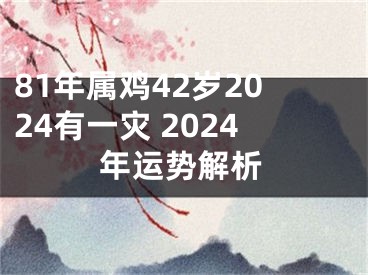 81年属鸡42岁2024有一灾 2024年运势解析