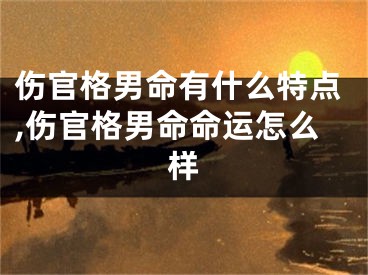 伤官格男命有什么特点,伤官格男命命运怎么样